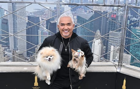 Cesar Milan met tips voor als je op vakantie gaat met je hond