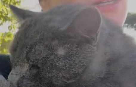 chat accident