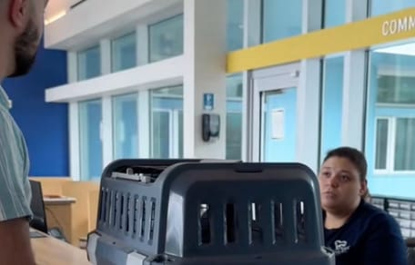 chat cage