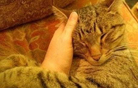 chat hyper attachement