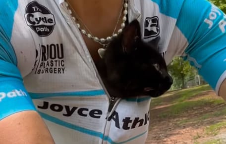 kat op de fiets