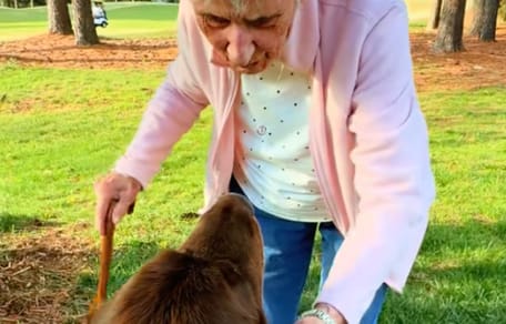 Este terranova de 70 kg se hace viral al ayudar a su yaya de 96 años en el jardín