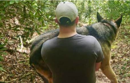 Deutscher Schäferhund