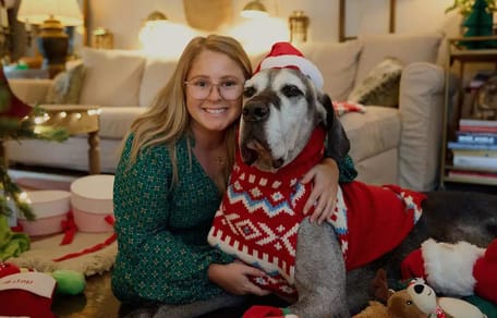 Hond Duitse Dog Kerst