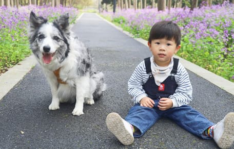 Chien et enfant