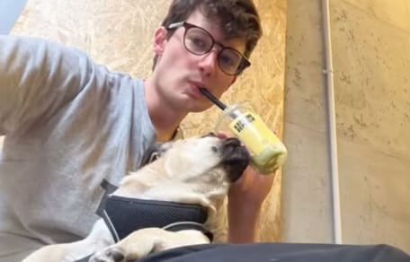 Hund und junger Mann