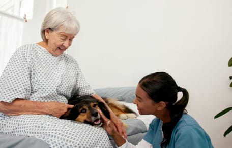 Chien et personne âgée
