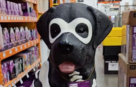 labrador dog halloween