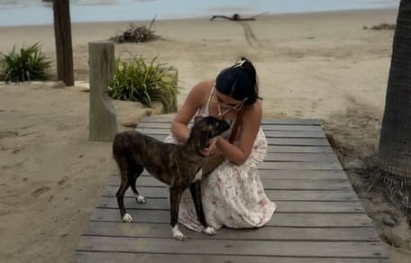 A dog in Peru