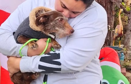 Chien prénommé Choco tenu dans les bras d’une femme, moment d’émotion après quatre ans de séparation