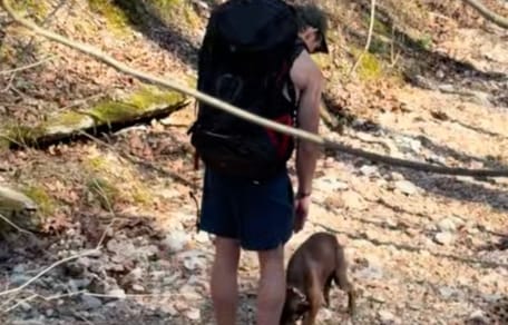 Spontane Routenänderung rettet Leben: Was Wanderer auf einem steilen Pfad entdecken