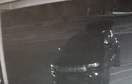 Hund auf einem Parkplatz