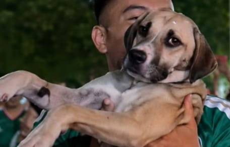 Un cagnolina scomparsa per un mese riappare sugli schermi durante una partita dei Mondiali
