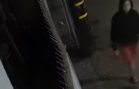 Clôture de clinique vétérinaire