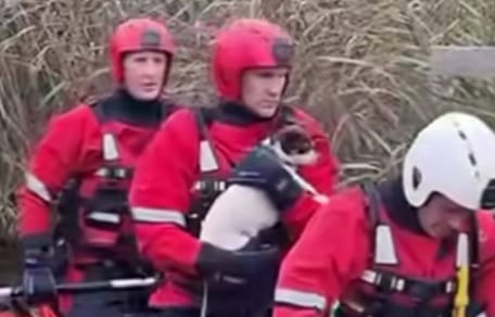 Coast guard holding spaniel