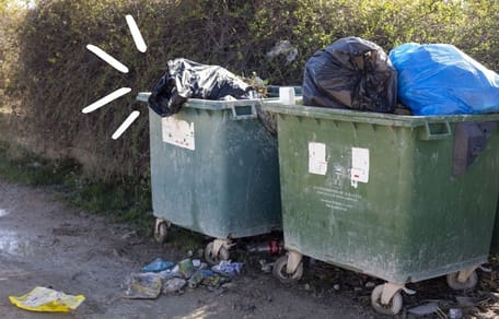 Un ruido que viene del contenedor: no dan crédito a lo que sacaron de la bolsa de basura