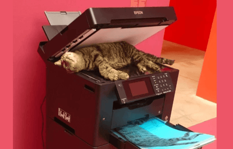 Copycat
