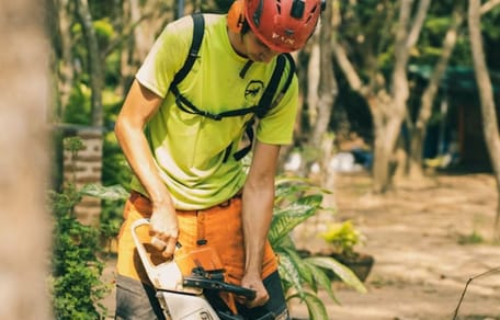 Cutting a tree
