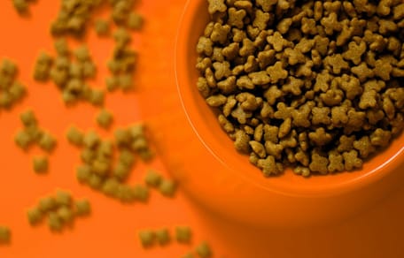 Croquettes pour chats