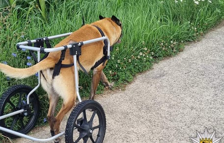 Cuba mit dem Rolli unterwegs