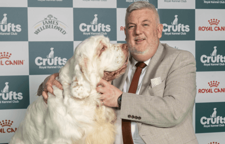 Cumber Spaniel Bruin, winner of Crufts 2026 "Best in Show"