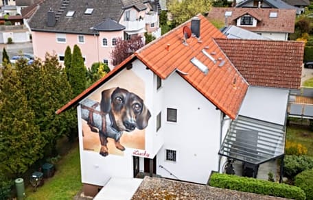 Dackel-Graffiti an der Wand eines Einfamilienhauses