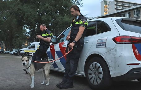 de hond die in Den Haag uit een auto werd bevrijd