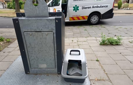 De kat die werd gevonden in een dichtgetapte kattenbak