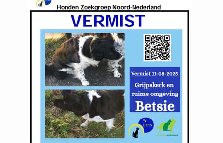De zoektocht naar de Friese Stabij Betsie gaat door