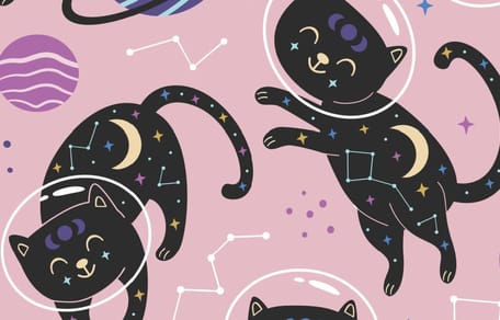 Descubre tu nivel de compatibilidad con tu perro o gato