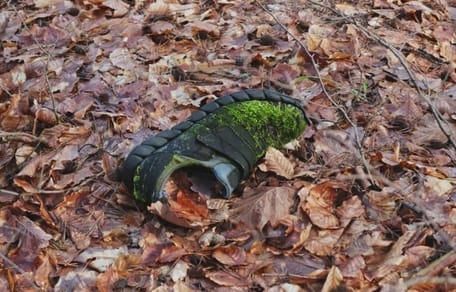 Der Welpe liegt neben dem Schuh im Wald