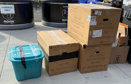 Abandoned cats in cardboard boxes