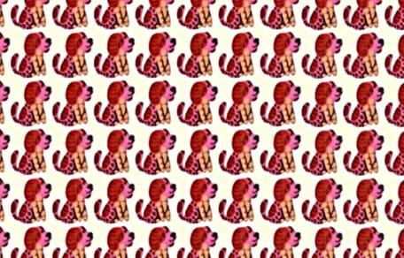 défi visuel chien caché