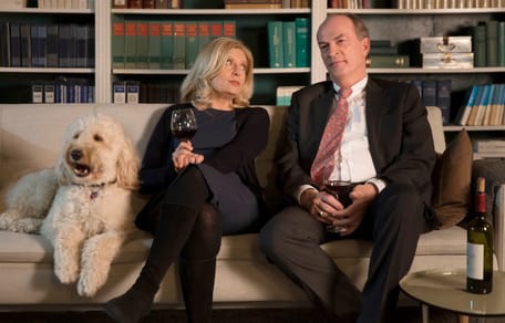 Die Kanzlei: Alles über den Hund