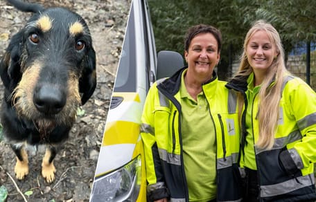 Dierenambulance staat voor raadsel met vastgebonden hond aan vrachtwagen