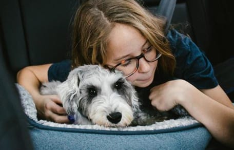 Divna und ihre Hündin