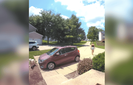 Dog and owner looking for each other