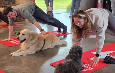Doga, ofwel yoga voor de hond