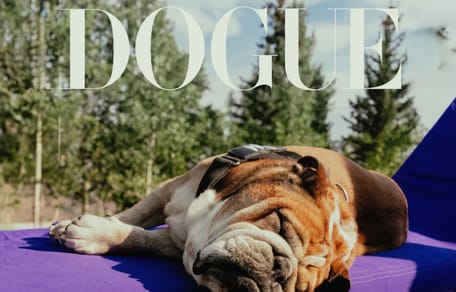 Dogue, de verhalen achter de hond