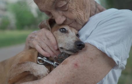 dolor-por-la-muerte-de-mi-perro