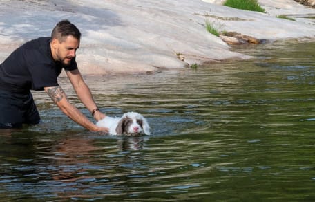 Dónde bañarse con perro en Madrid