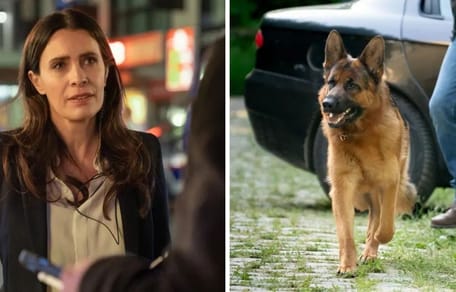 Strenges Verbot bei „Kommissar Rex“: Doris Golpashin enthüllt Geheimnis um den TV-Hund