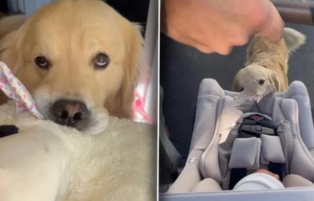Drake reagiert unerwartet auf das Baby
