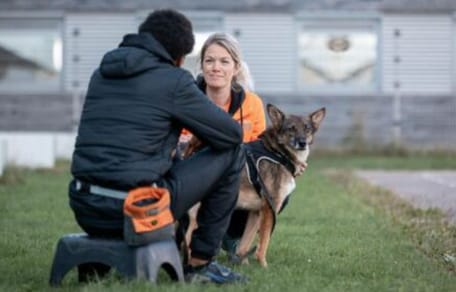 Dutch Cell Dogs traint in Woensel met gedetineerden