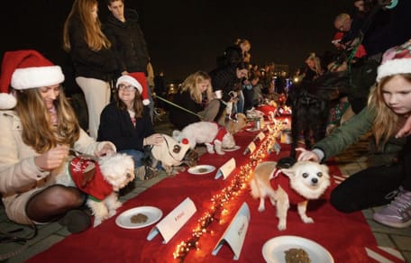 Een kerstdiner voor honden in Breda bij het AniCura dierenziekenhuis