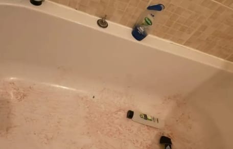 Ein Bild des Schreckens