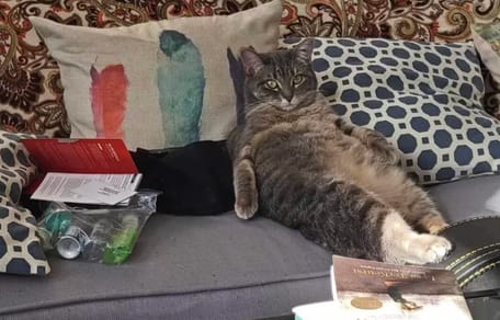 Ein Wohnzimmer