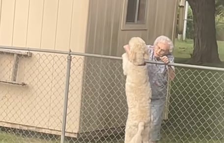 Una cagnolina e una donna anziana davanti a un recinto