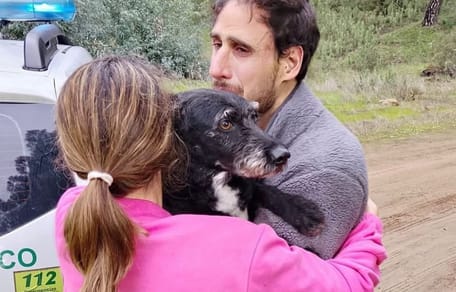 encuentran-boro-perro-desaparecido-accidente-tren-cordoba