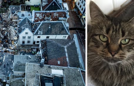 Er worden nog 3 katten vermist na de explosie in Utrecht